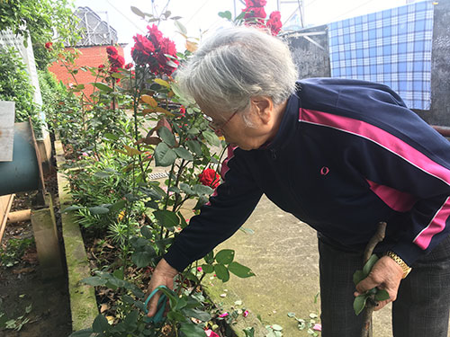 老人风采26