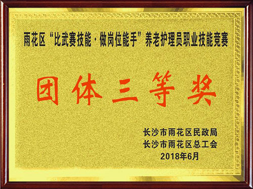 荣誉牌11